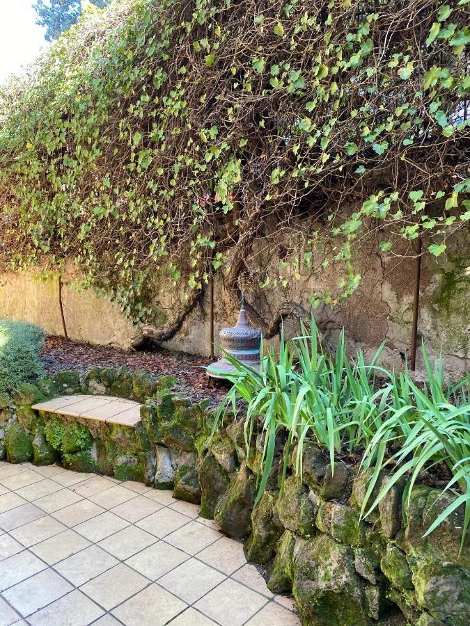 Trastevere Oasi Garden Apartment - Roma المظهر الخارجي الصورة