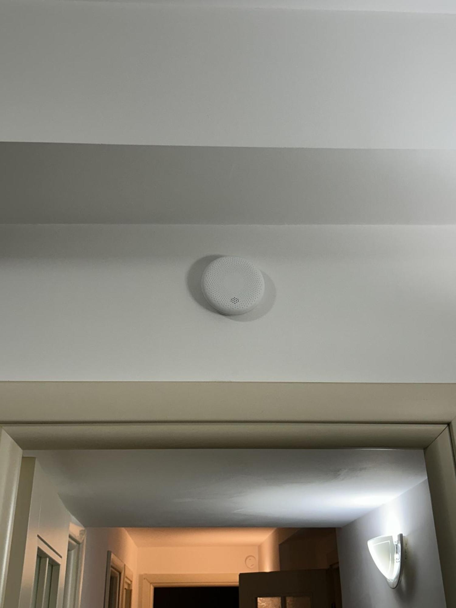 Trastevere Oasi Garden Apartment - Roma المظهر الخارجي الصورة